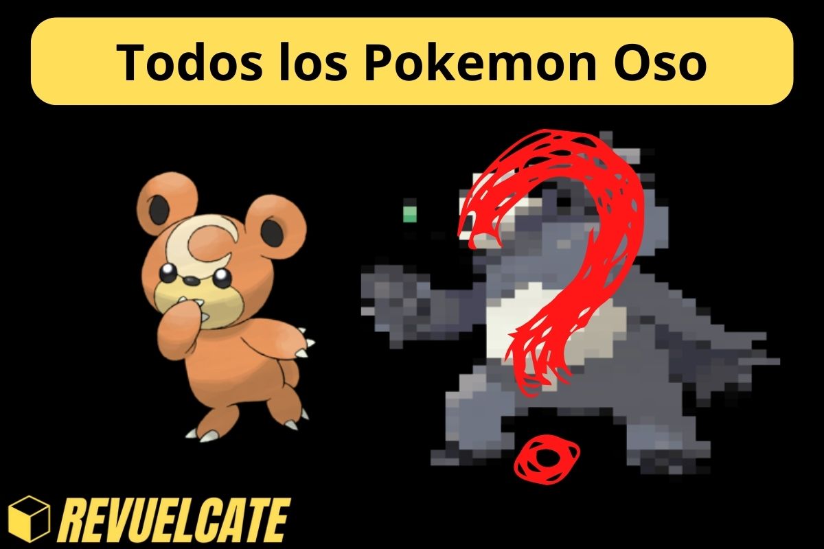 Clasificación Pokemon Oso